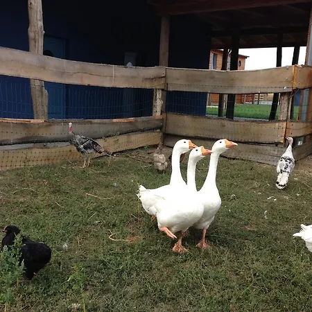 Venkovský dům Farma Noe
