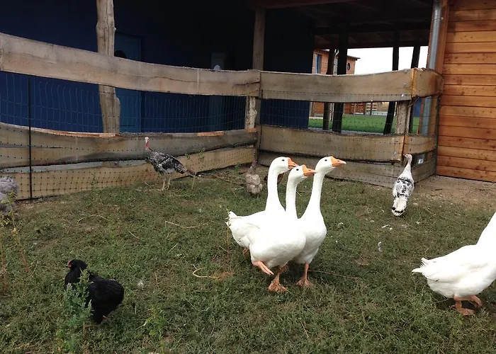 Venkovský dům Farma Noe