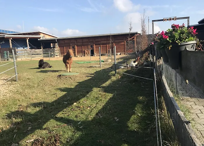 Venkovský dům Farma Noe Brezina (Slapanice, Brno-Country)