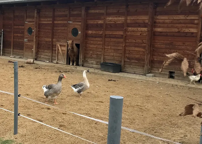 Farma Noe Brezina (Slapanice, Brno-Country)