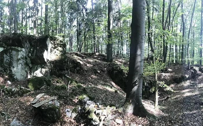 Farma Noe Venkovský dům Brezina (Slapanice, Brno-Country)